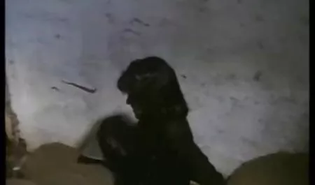 Proshmandovka tante indo video Christina
