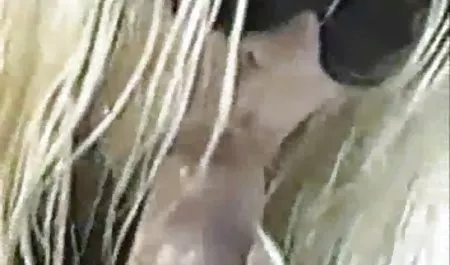 Melebihi keinginan Anda bokep tante muda indo