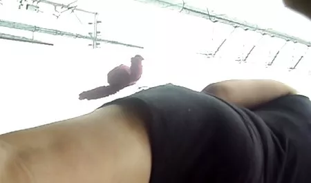 Bermain-main di ruangan video bf tante indo gelap