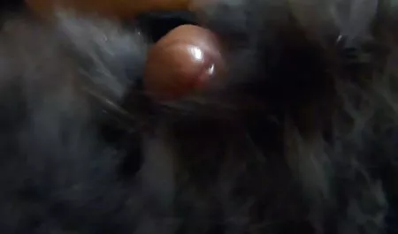Cepat berlutut anak vs tante indo