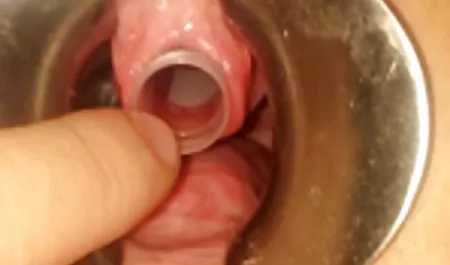 Menerima bokep indo tante bohay bantuan gratis dari conder